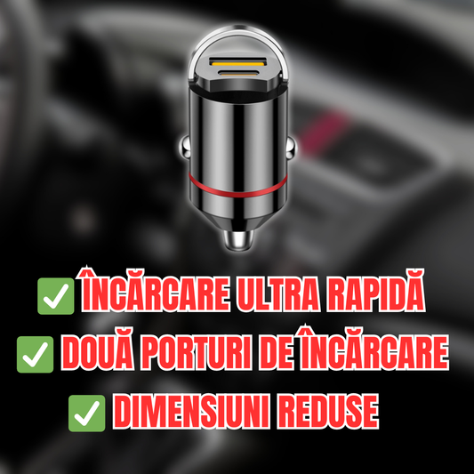 Încărcător Auto Pentru Bricheta 100W